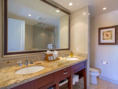 Kaanapali  Maui Condo 895909